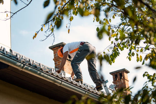 Best Flat Roof Repair Services  in Bellwood, VA