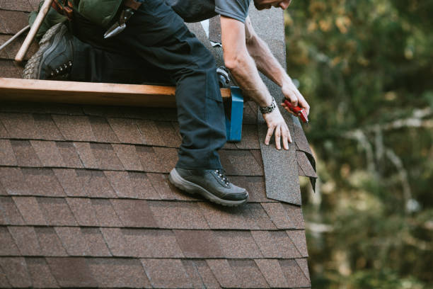 Best New Roof Installation  in Bellwood, VA